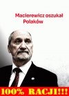 Pisowski złamas