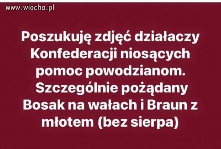 Ktoś coś widział?