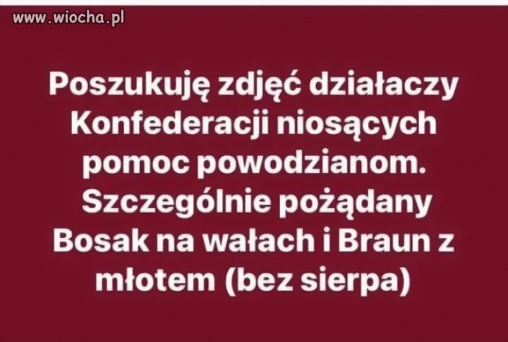 Ktoś coś widział?