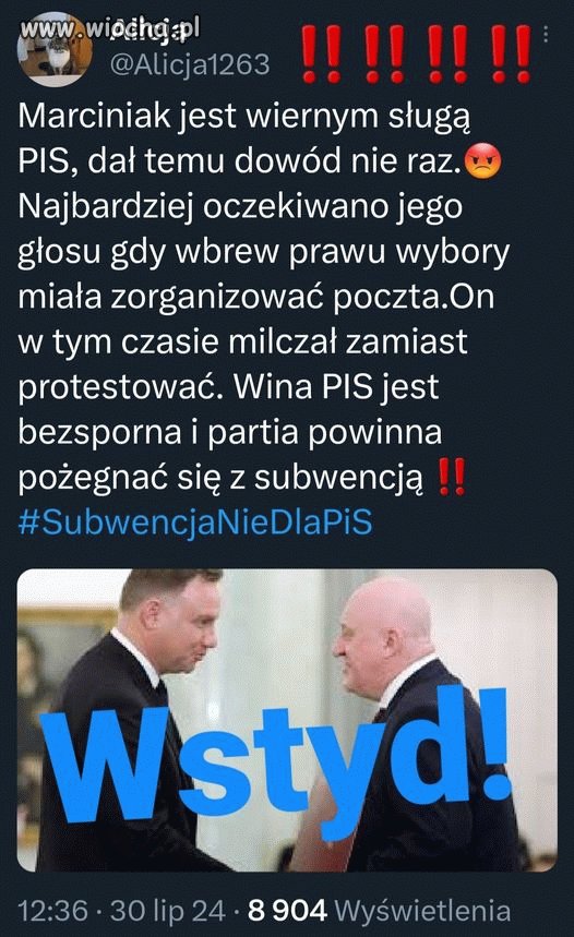 Pisowski pachołek i tyle