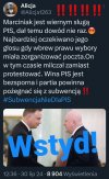 Pisowski pachołek i tyle