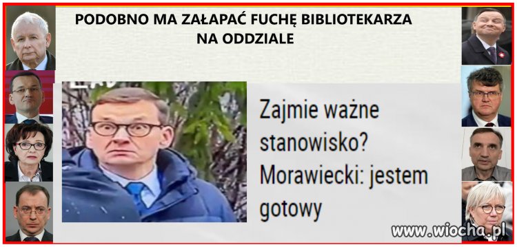 Wiewiórki powiadają
