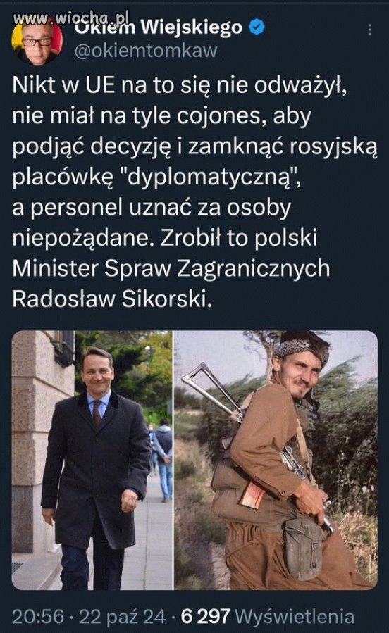 Patrzcie pisowskie błazny i się uczcie