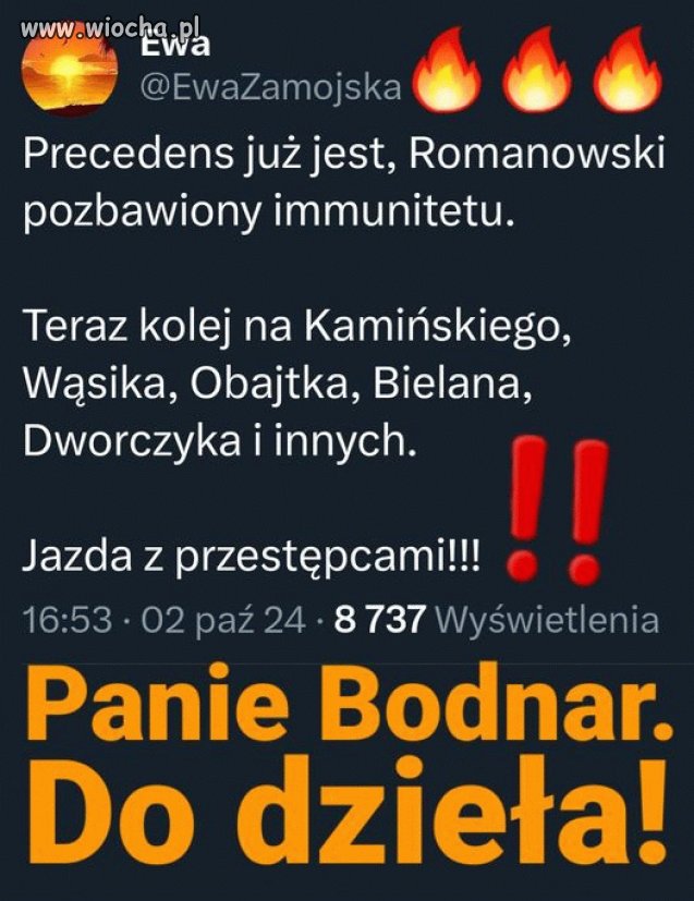 Cała naprzód i jazda z pisowskimi pajacami