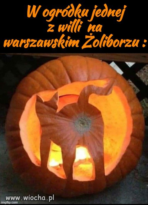 Nastrojowo
