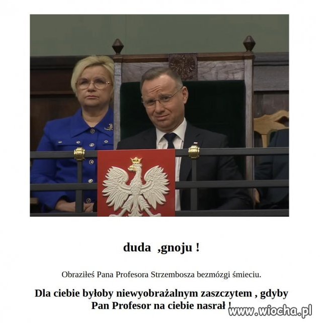 Wypowiedzi debila cd
