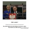 Wypowiedzi debila cd