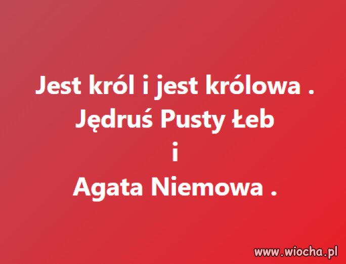 Pośród ogrodu siedzi ta królewska para ...