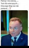 Dlaczego? Bo podobno, kogo kocha, to doświadcza.