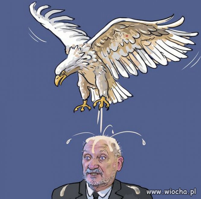 Ten order mu się po prostu należy!