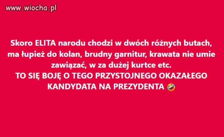 W pisowskim szambie już mnie nic nie zaskoczy