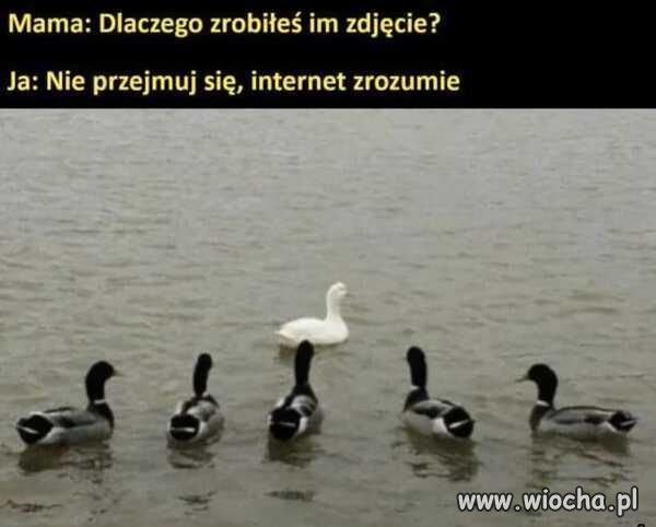 Fotka.   