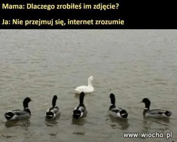 Fotka.   