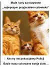 Kocia rodzina mafijna