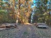25.10.2025 r. Bolimowski Park Krajobrazowy