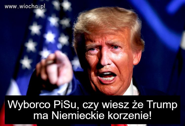 Przeszkadza wam Tusk bo według was to Niemiec, bo jego dziadek