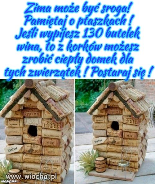 Już Święty Franciszek mówił,
