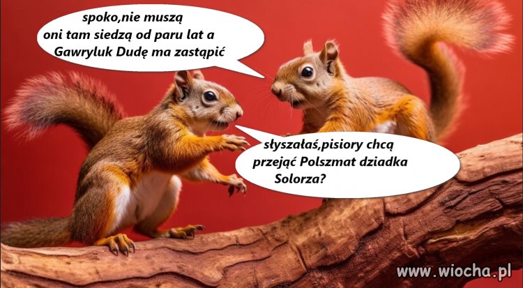 I coś w tym