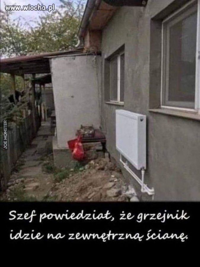 Szefa słowo 