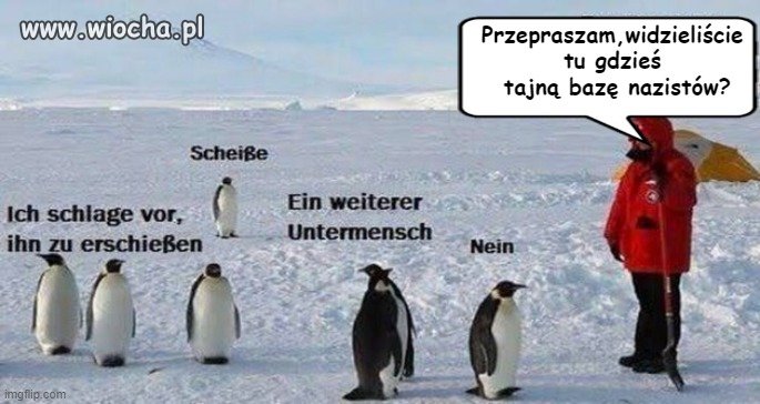 Tymczasem na Antarktydzie
