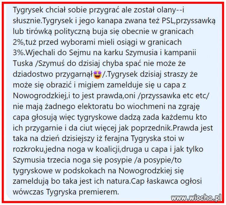 Jak Tygrysek ksywa 2%