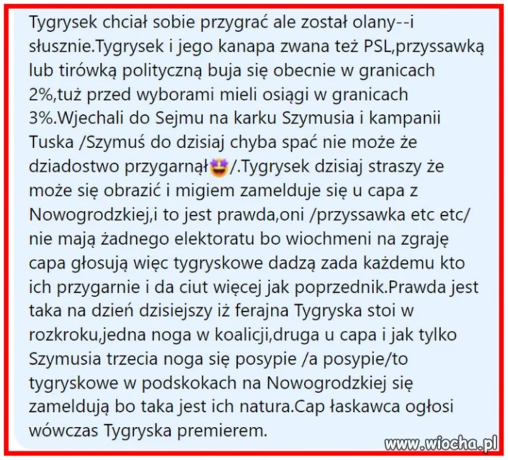 Jak Tygrysek ksywa 2%