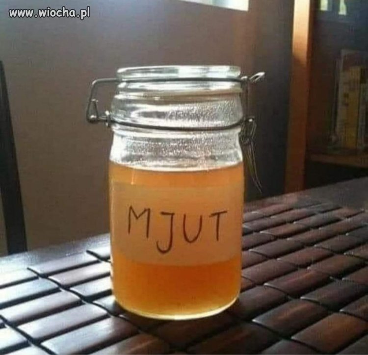 Mjutek poleca się 