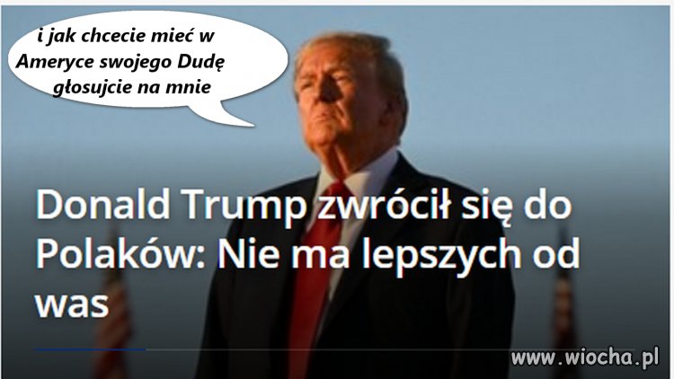 To już wiecie Wolacy w Hameryce