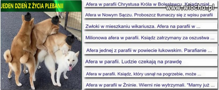 Tylko jeden dzień