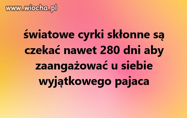 Cyrki przeżywają renesans