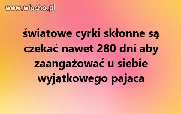 Cyrki przeżywają renesans