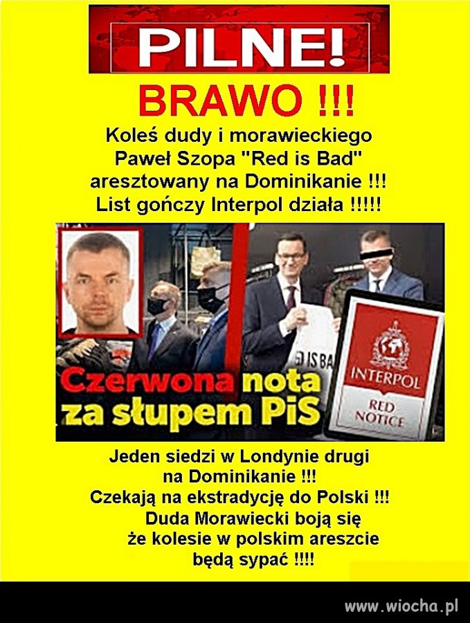 Teraz ekstradycja i prokurator z pewnością usłyszy