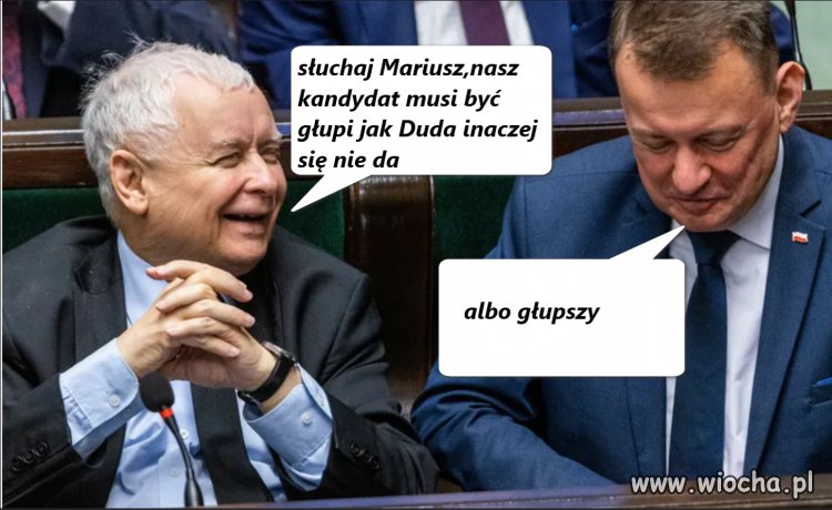 Jarek szuka