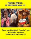 Tak było równo rok temu.