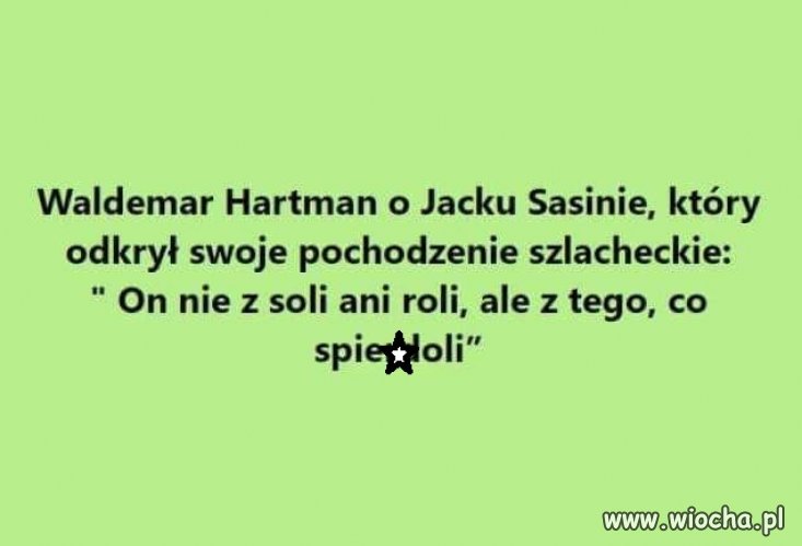 Do Sasina pasuje jak ulał ...