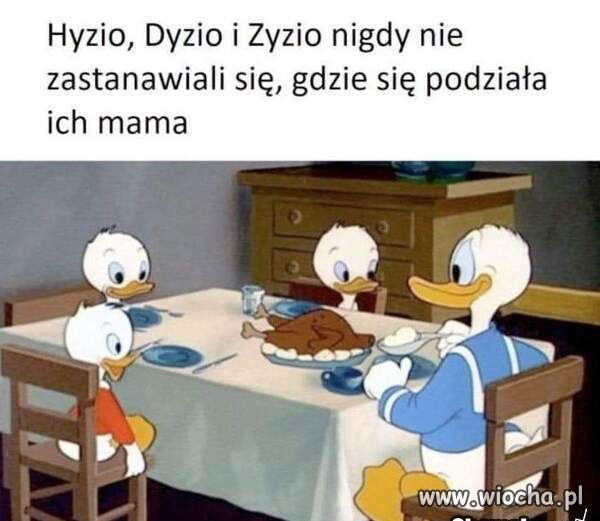 Kaczor Donald. 