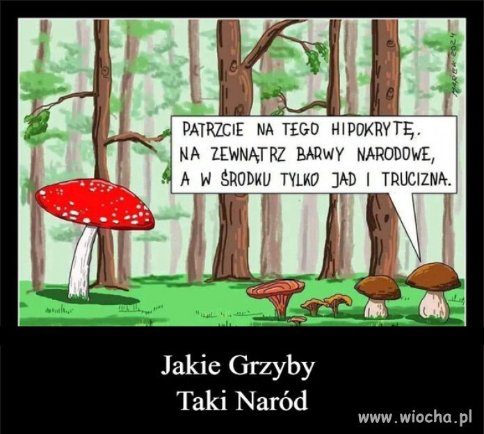 Kto ja jestem? Polak mały! Mały zawistny i podły!
