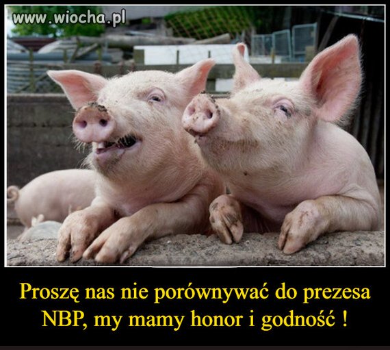 Proszę bez porównań