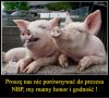 Proszę bez porównań