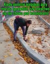 Oni czają się wszędzie!