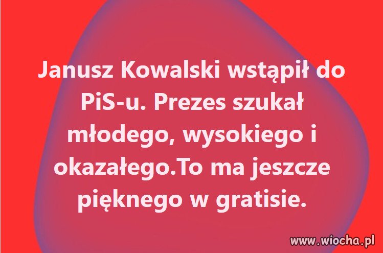 Im kto głupszy tym bardziej w PiSie, Kaczyńskiego!