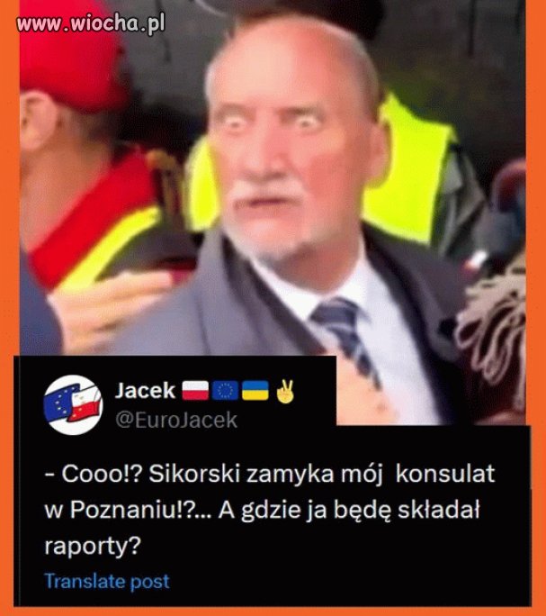 Antek w szoku