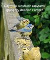 Gdy grzecznie zapytałeś. 