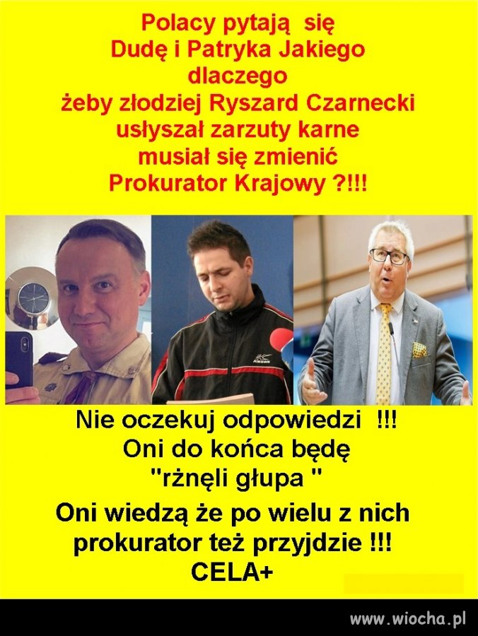 Po co pytać idiotów o ich zdanie ?