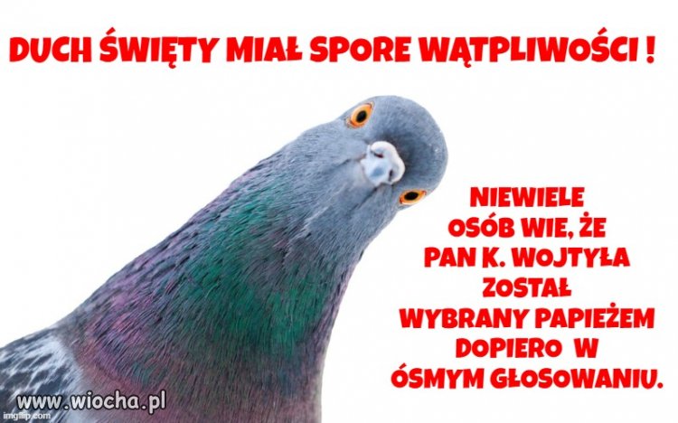 Dobrze opłacani lobbyści