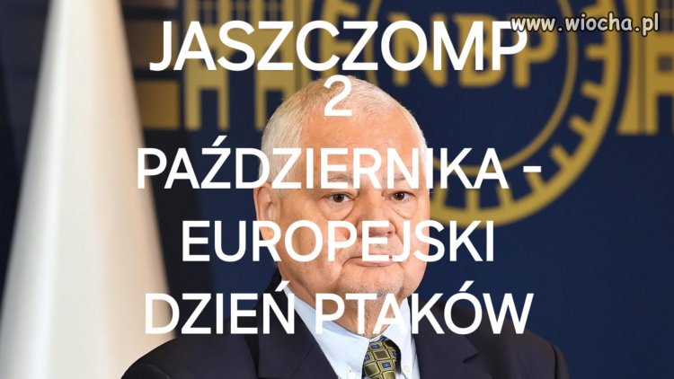 Jaszczomp ma dziś swój dzień.