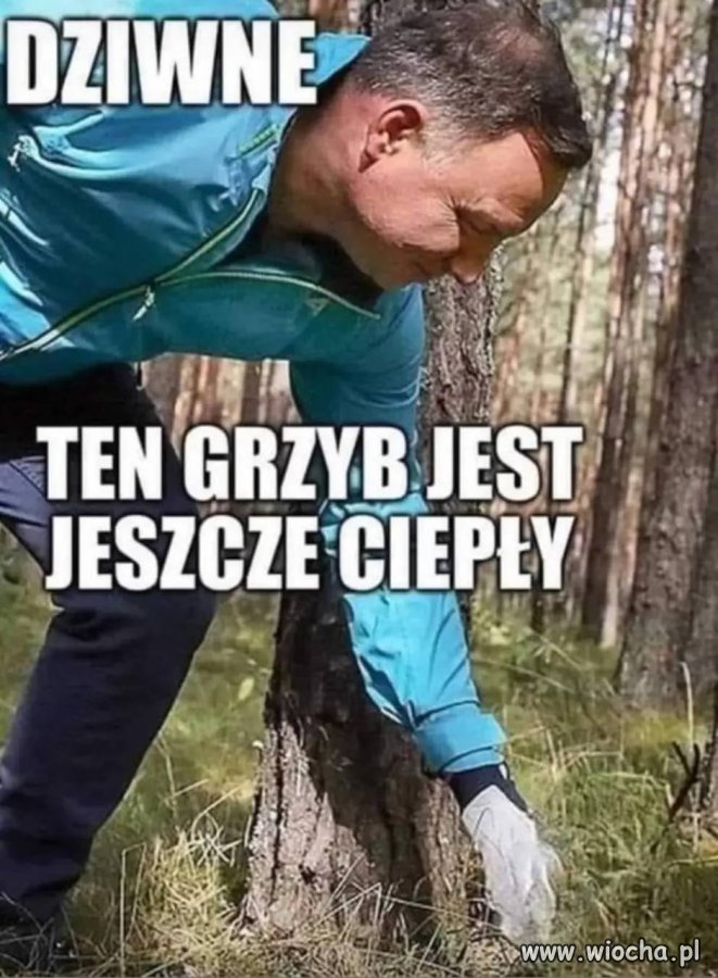 Pyszny i ciepły grzybek 