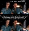 Chłopa wam trzeba!