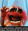Dla kolegi pytam...