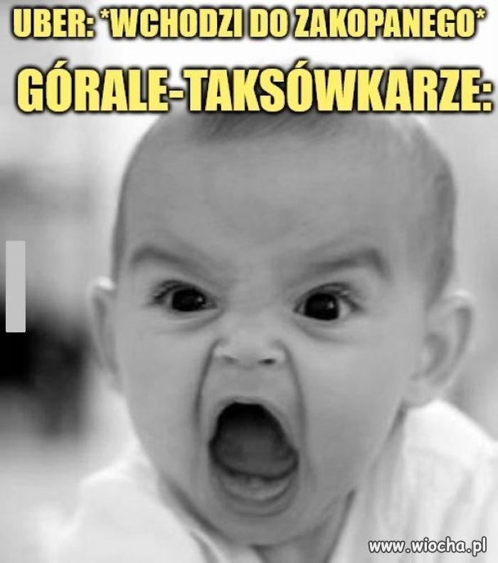 Dutki się nie zgadzają